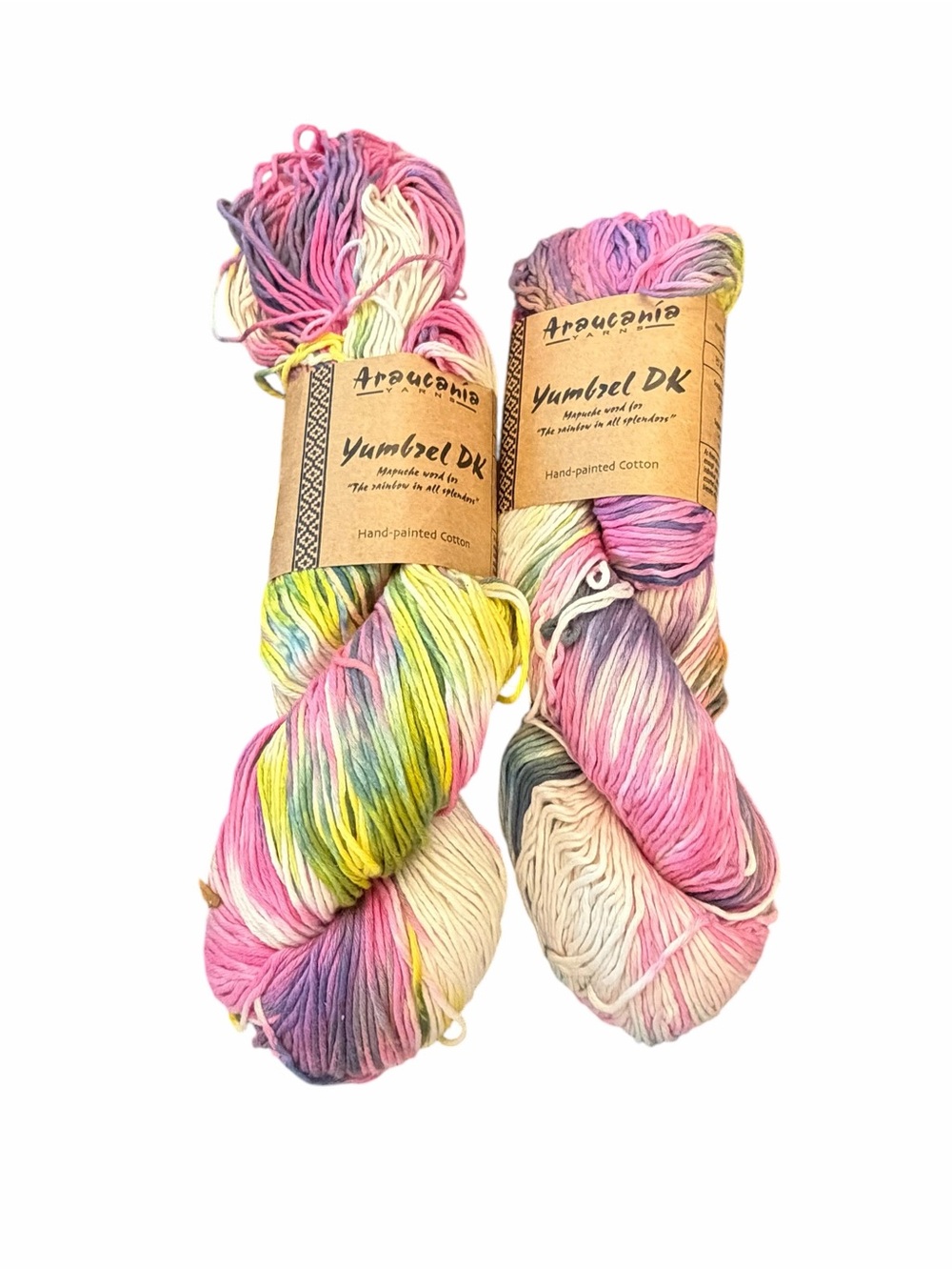 LOT of 2 Araucania Yarns Hand-painted Cotton Yumbzel DK Color Museo Inka 05 NEW